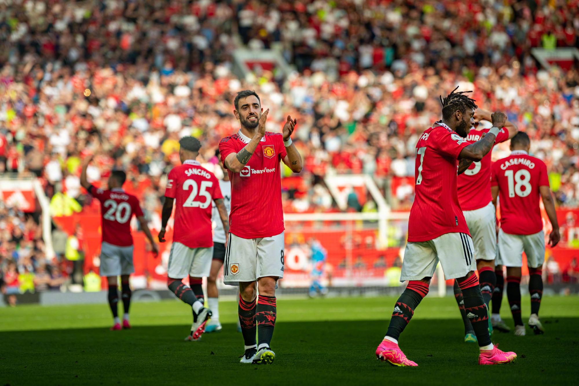 这篇报道也 这篇报道也